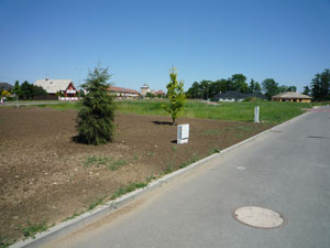 Galerie